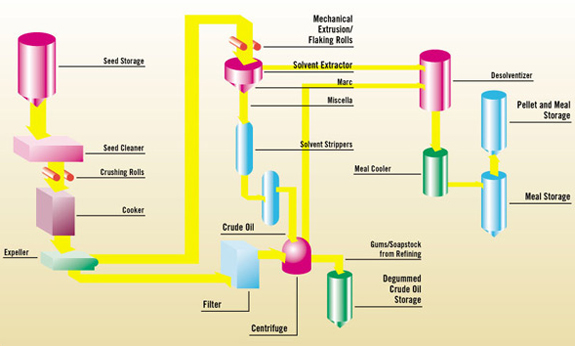 Edible Oil xtraction Process