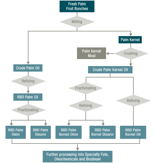 flowchart of palm oil process