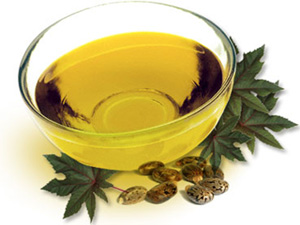 castor oil and bean castor oil and bean