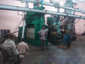 Cotton Seed Oil Pressing Plant