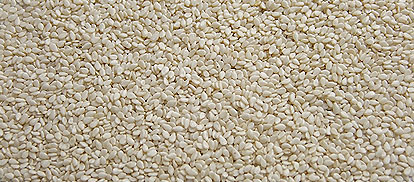 dehulled sesame seed