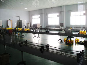 Edible Oil Filling Line