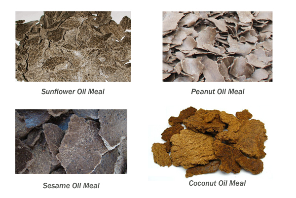 oil meal uses