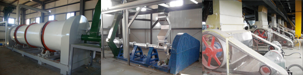 Seed Processing Equipment