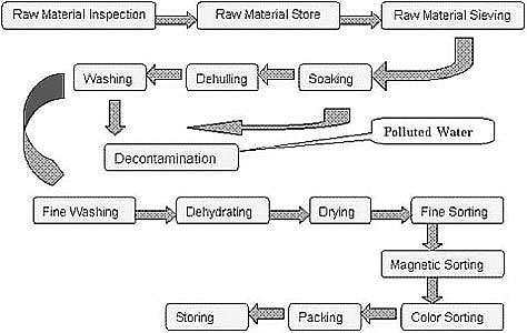 sesame hulling process