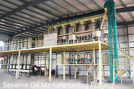 sesame oil manufacturing