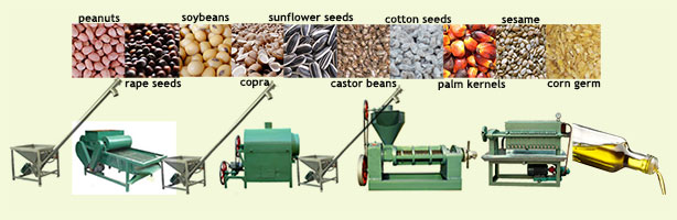 small cooking oil manufacturing unit and various seeds