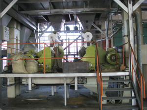 Soybean Extruding Plant