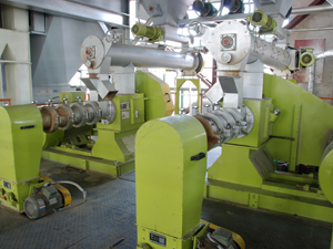 Soybean Extruding Plant