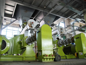 Soybean Extruding Plant