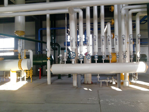 Soybean Oil Extraction Plant