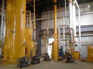 Soybean Oil Extraction Plant