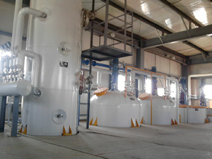 Soybean 

Oil Refinery Plant