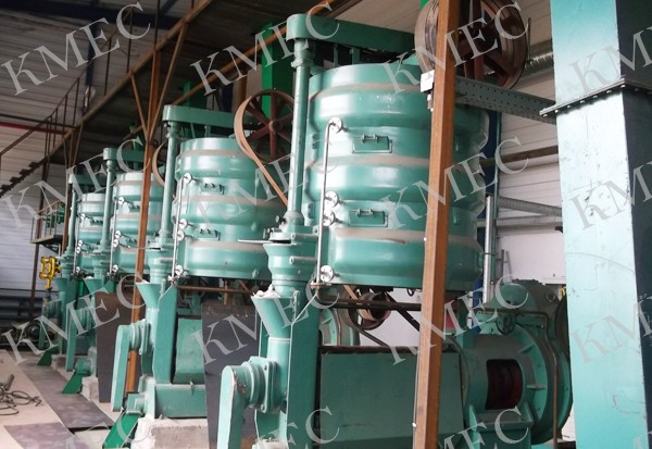 sunflower oil extraction machinery