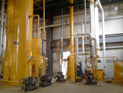 Vegetable Oil Extraction