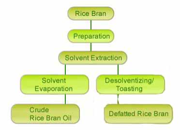 The Process of Rice Bran Oil Pressing