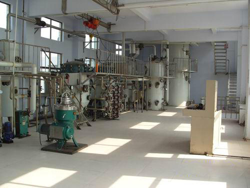 jatropha seeds oil production line