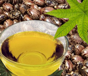 Refined Castor Bean Oil