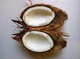 coconut kernel