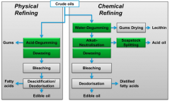 seed oil processing machinery