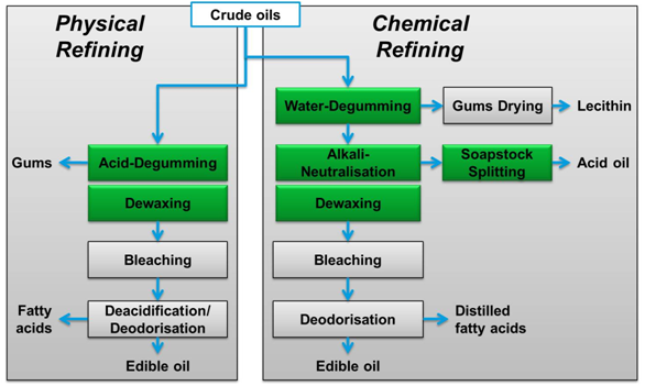 seed oil processing