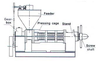 The Structure of Mechanical Screw Pressing Machinery