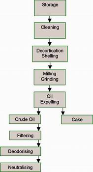 General Process of Cooking Oil Press Line