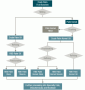 Oil Refinery Process