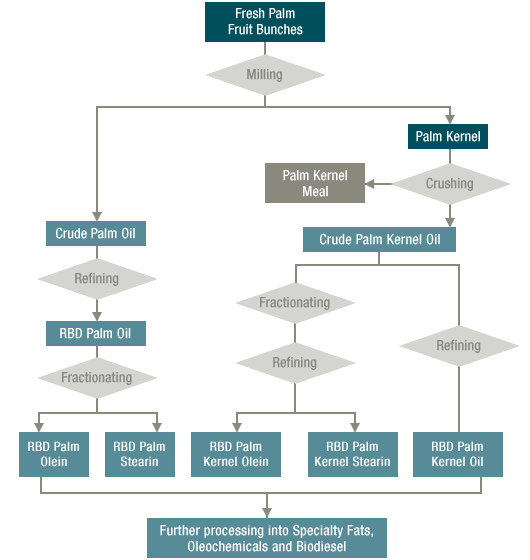 The Flowchart of Palm Oil Refinery Process