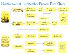 mustard oil production line