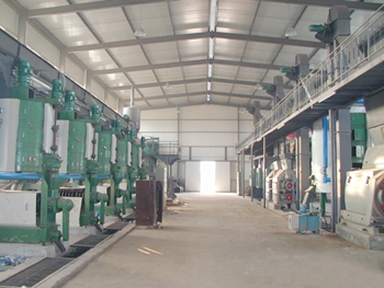 mustard oil production line