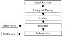 Ginger Oil Extraction Machine