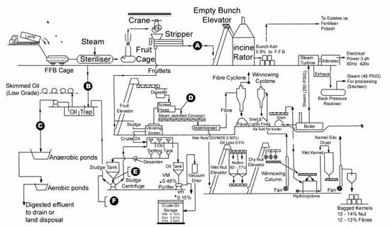 flowchart of palm oil refinery