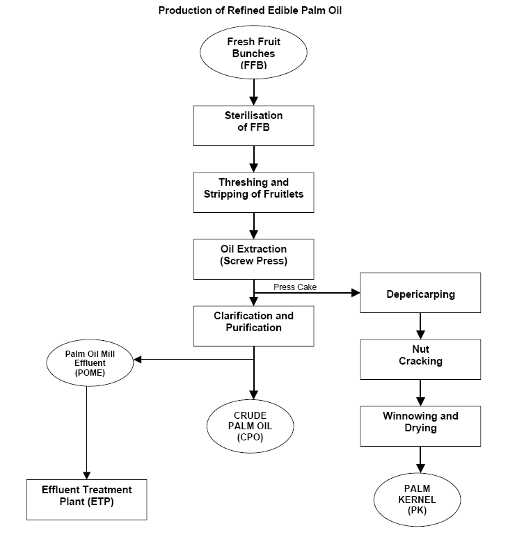 flowchart of palm oil processing plant