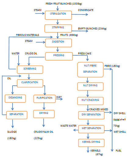 Edible Oil Production Process