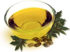 castor oil processing