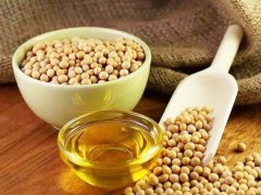 a quick analysis of soybean oil plant cost